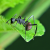 Kovová dekorace mravenec